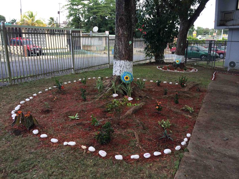 En 2014, estudiantes, padres y maestros del plantel se unieron en una actividad a la que llamaron “Adopte un árbol”. (GFR Media)