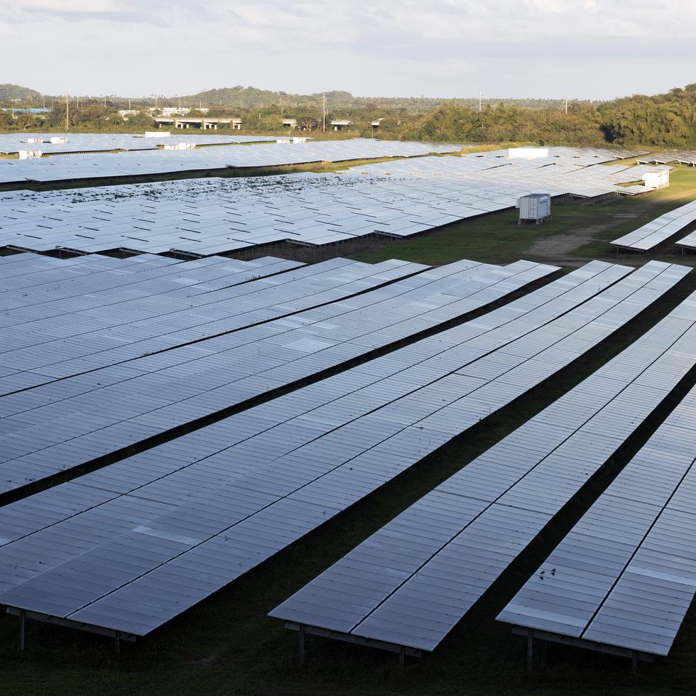 Según los demandantes, el 85% de los terrenos que albergarían las fincas solares futuras están situados en reservas agrícolas o ecológicas.