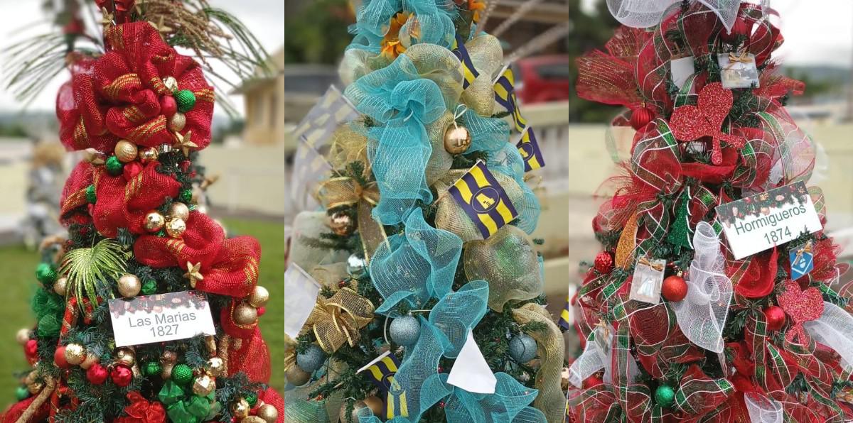 El alcalde invitó a que lleven sus ornamentos para colgarlos en los distintos árboles.
