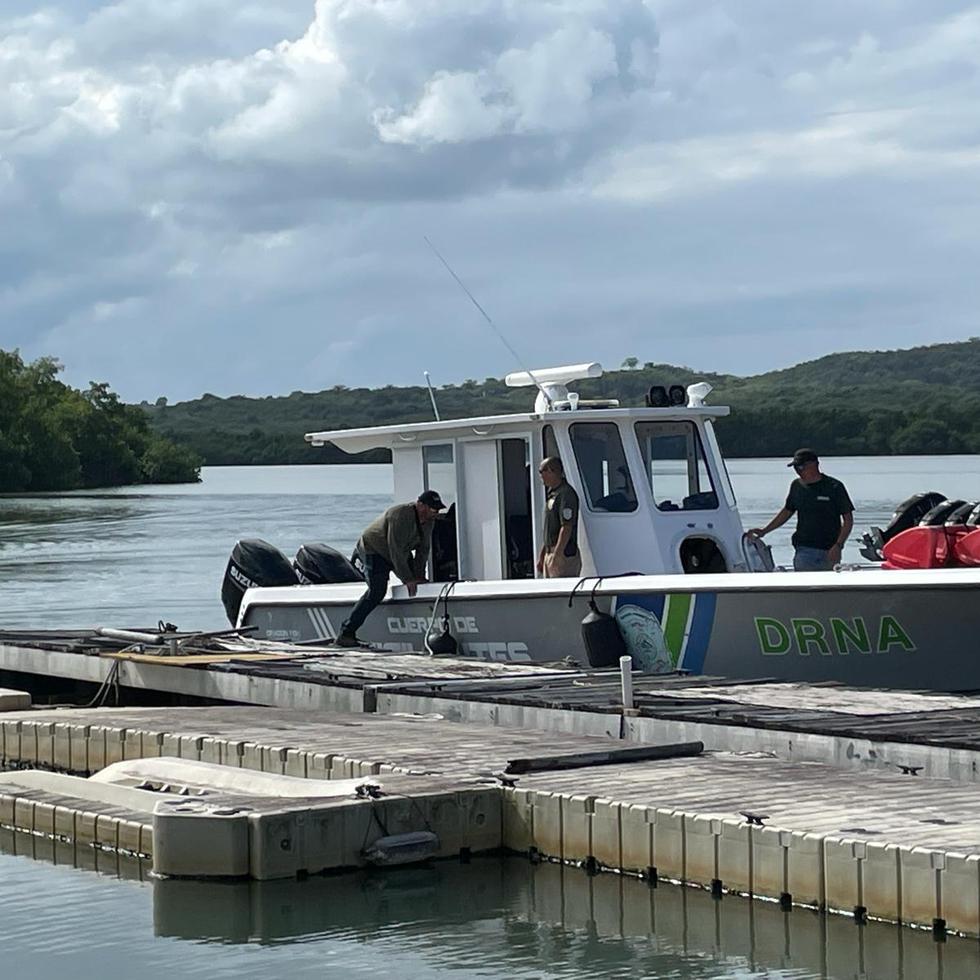 Desde la mañana de este miércoles, Joe Cordero es buscado por el Cuerpo de Vigilantes del Departamento de Recursos Naturales y Ambientales (DRNA), rescatistas del Negociado de Manejo de Emergencias y Administración de Desastres (NMEAD) y personal de otras agencias en la Isla de Mona.