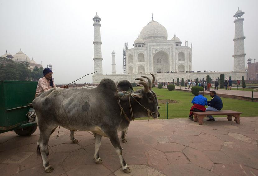 El Taj Mahal fue declarado patrimonio de la humanidad en 1983 (AP).