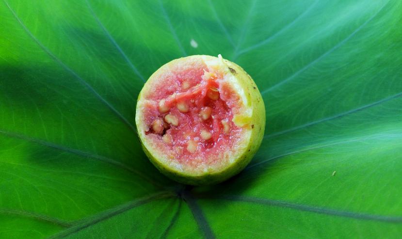 Por su alta concentración de vitamina C, la guayaba es una fruta ideal para prevenir el daño de radicales libres, por lo que es una forma natural de prevenir el cáncer.