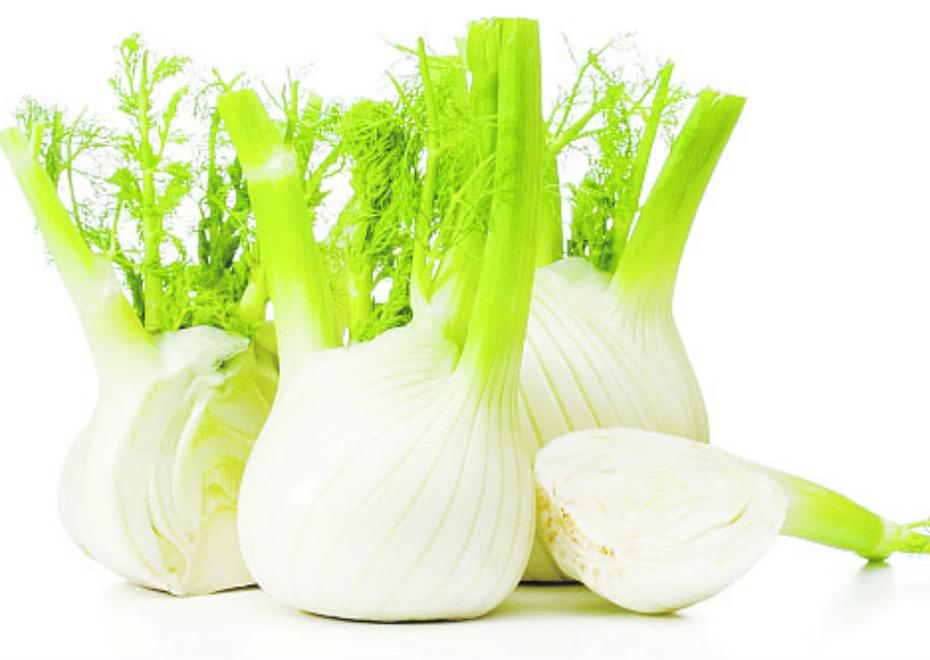 Hinojo (fennel): Se utiliza para tratar los gases, el estreñimiento, la flatulencia y la gastritis. También es diurético y expectorante. Se aconseja mezclar unas gotas con sábila para aliviar la congestión en el pecho. (Shutterstock)