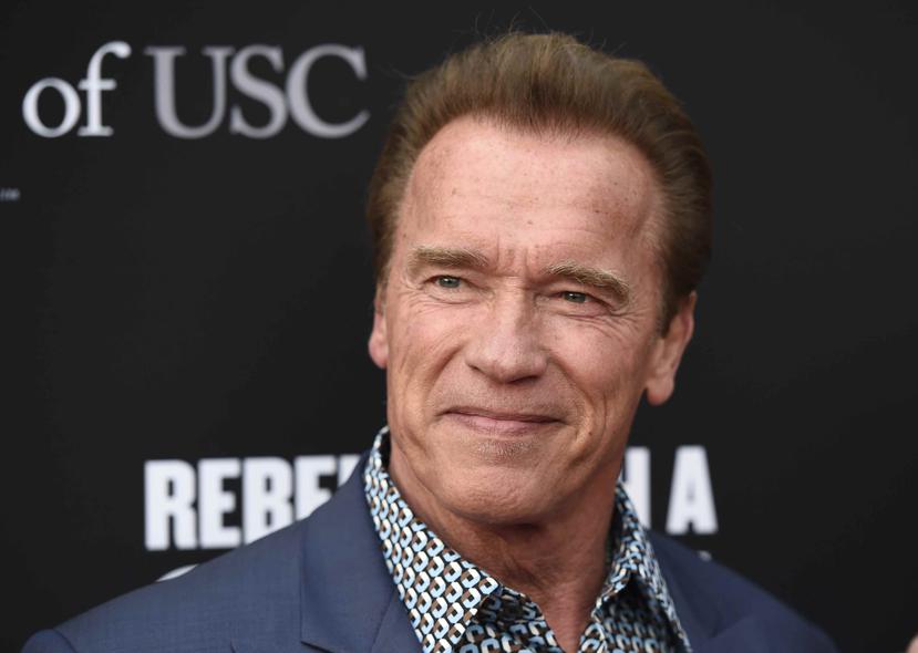 El publicista de Schwarzenegger, Daniel Ketchell, confirmó el martes que el video es "real y no un montaje". (Archivo)