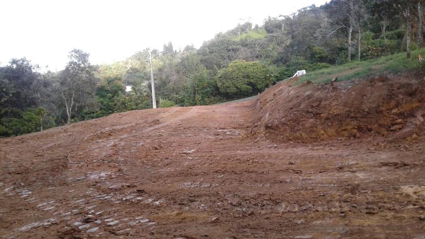 El Comité de Ciudadanos Pro-Cuevas de Aguas Buenas denunció la deforestación y remoción de terreno en una  Reserva Natural a cargo del DRNA. (Suministrada)