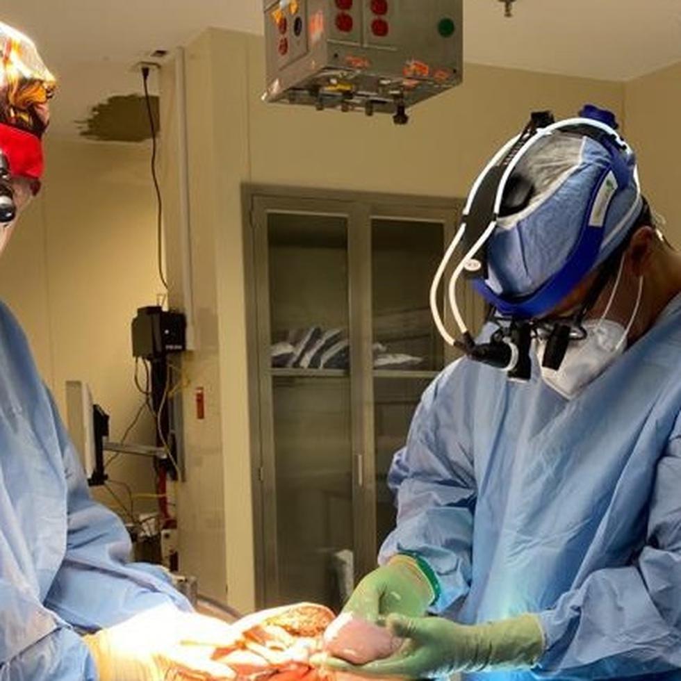 A la izquierda, el doctor Juan del Río, director clínico del Centro de Trasplante del Hospital Auxilio Mutuo, en plena intervención realizada el pasado 30 de septiembre. Lo acompaña, a la derecha de la foto, el doctor Daniel Campos, cirujano de trasplante.