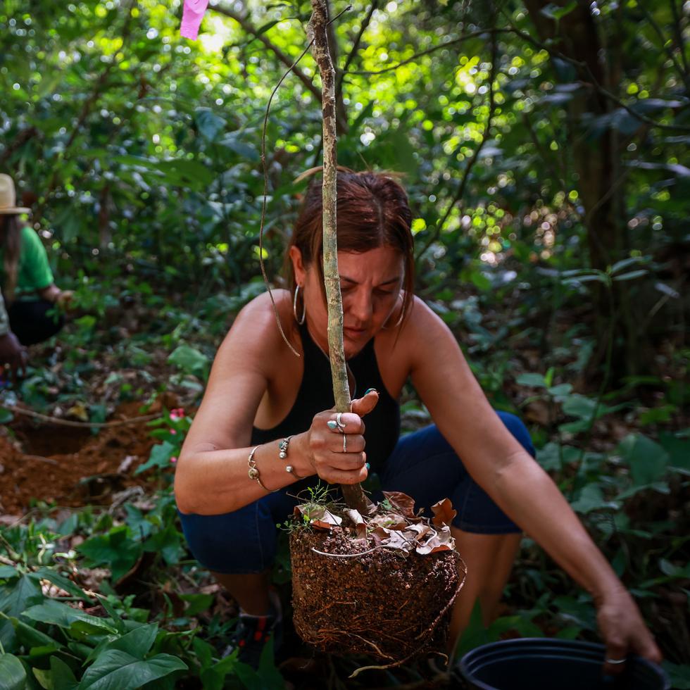 El pasado abril, la FADEY lanzó la iniciativa Arte Yunque, programa para introducir la recreación responsable y el rol del ser humano con la naturaleza y el bosque.