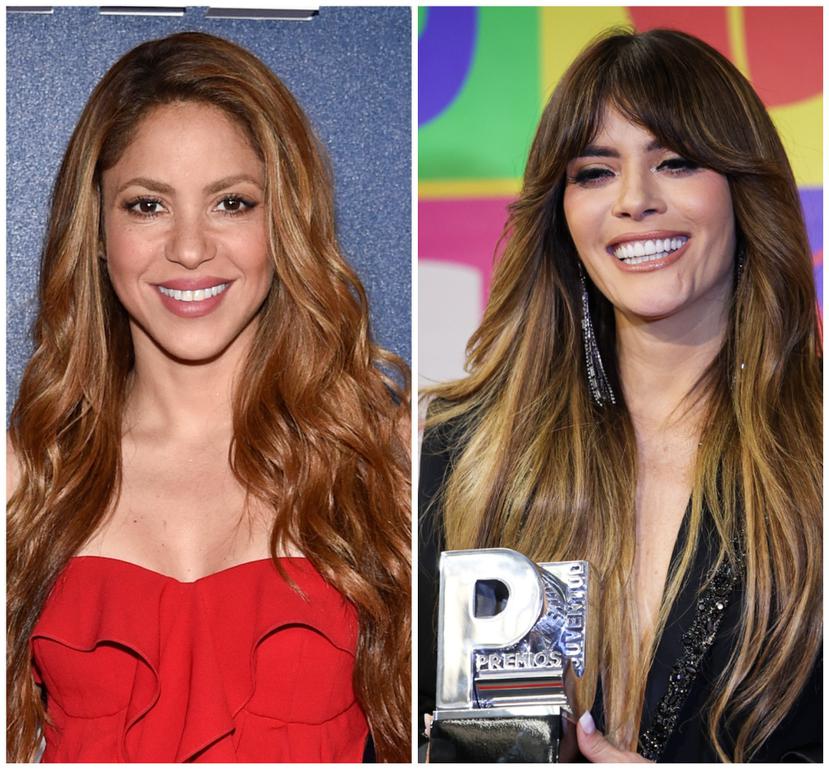 Las cantantes Shakira y Kany García agradecieron el apoyo que han recibido en el 2022.