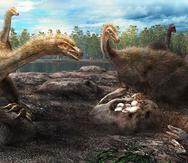 Esto revelaría que el comportamiento protector apareció por primera vez en los dinosaurios emplumados (Nature/ Masato Hattori).
