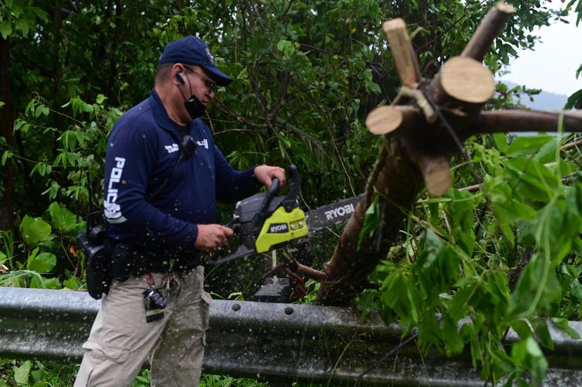 Personal de la Policía de Puerto Rico cortaron  arboles caídos en la carretera PR-10 en Utuado.
