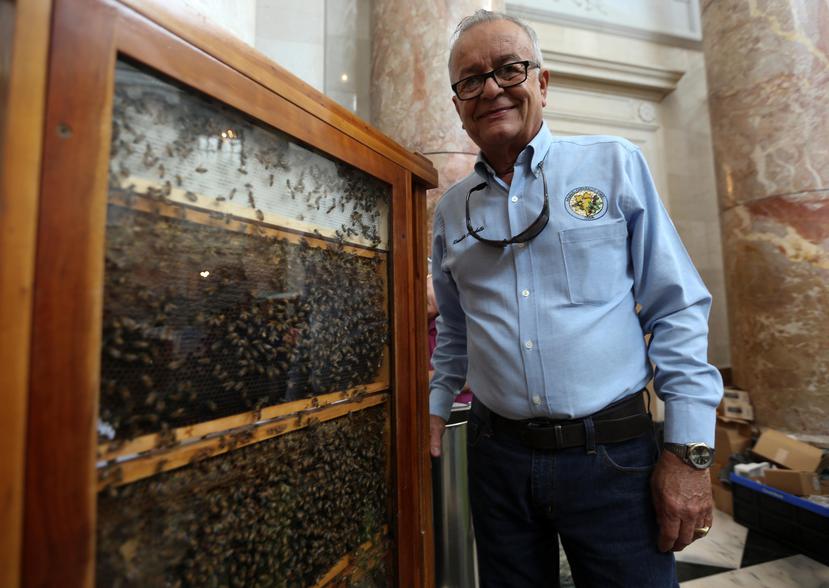 El apicultor yaucano, Reinaldo Caraballo, muestra su panal de abejas durante la Expo de Apicultura en la rotonda de el Capitolio.