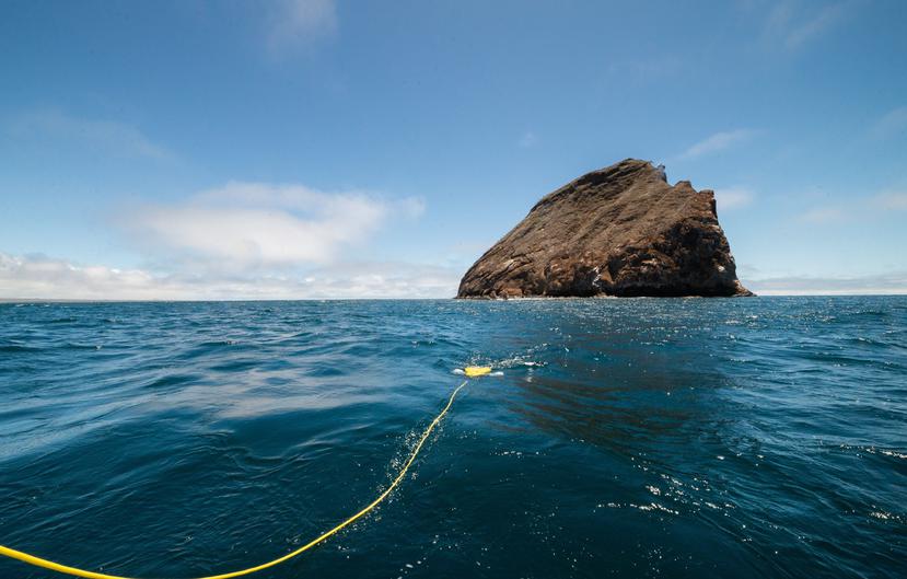 Fotografía cedida por la Fundación Charles Darwin que muestra una vista de un robot con cámara mientras analiza el fondo marino, en las Islas Galápagos.