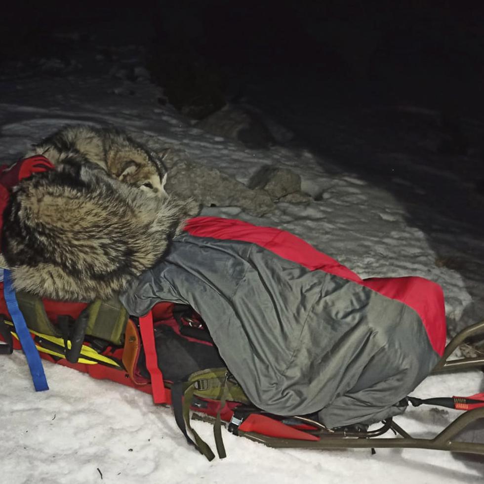 Esta fotografía proporcionada por el Servicio de Rescate de Montaña de Croacia muestra a un montañista con su perro durante un operativo de rescate en el monte Velebit, el sábado 1 de enero de 2022.