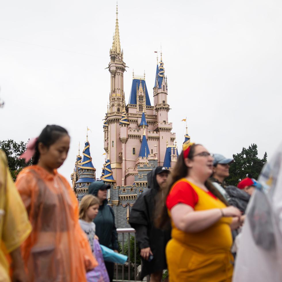 Los trabajadores de servicio de Disney World que están en los seis sindicatos que componen la coalición Service Trades Council Union han estado exigiendo un aumento en el salario mínimo inicial a por lo menos $18 la hora en el primer año del contrato, por arriba del salario mínimo de $15 la hora obtenido en el contrato previo.