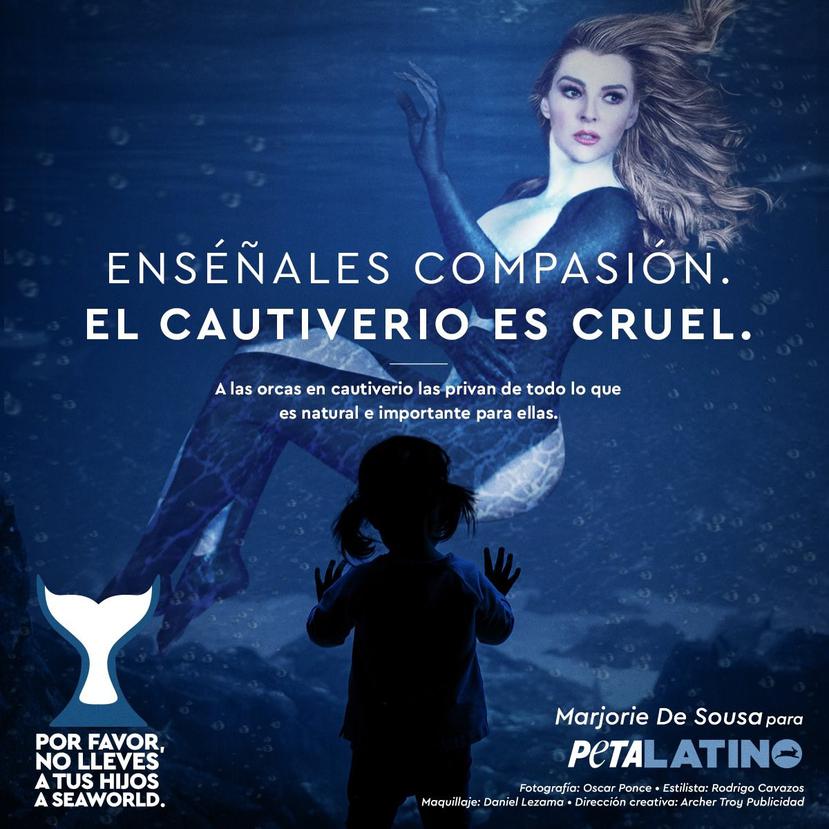 Afiche de la campaña de PETA Latino. (Twitter / @Peta_Latino)
