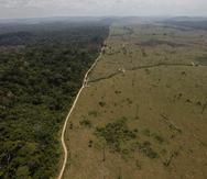 Esta fotografía de archivo del 15 de septiembre de 2009 muestra una zona deforestada cerca de Novo Progreso, en el estado de Pará, Brasil.  (Archivo / AP)