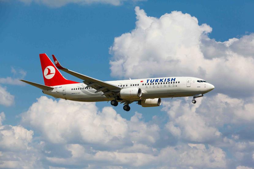 Turkish Airlines (Foto: Mikhail Starodubov / Shutterstock.com)