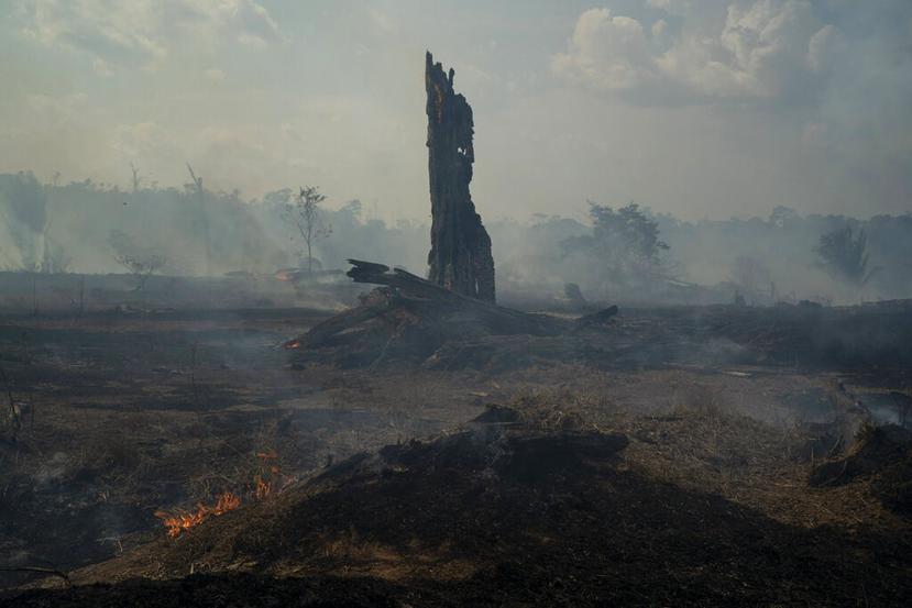 El humo persistente en la Amazonía está causando un aumento de los problemas respiratorios, especialmente entre los niños y los ancianos. (AP)