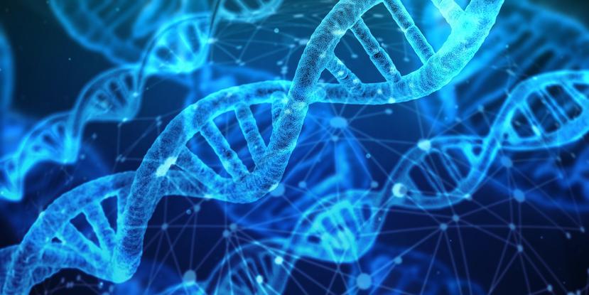 En los últimos años, los científicos han descubierto una forma relativamente fácil de editar los genes: las hebras de ADN que gobiernan el cuerpo. (Pixabay)