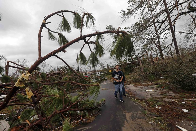 Personas caminan entre árboles caídos en un barrio muy dañado por el paso del huracán Michael en Panama City, Florida. (AP)