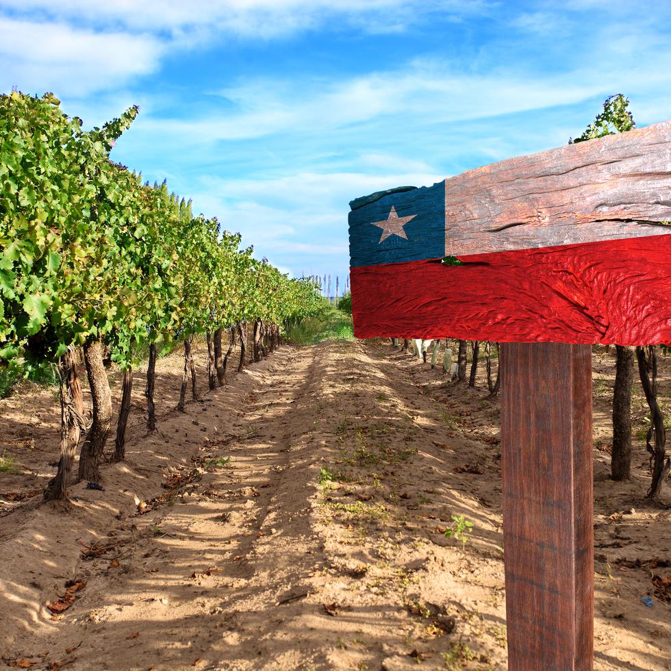 Chile no solo se destaca por sus vinos tintos y blancos, sino que ha apostado por elevar el nivel en los rosados y espumantes, e incluso en los exóticos naranjos.
