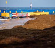 Así luce la playa Crash Boat con la acumulación excesiva de sargazo que llegó desde el pasado 11 de septiembre.