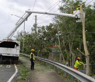 Empleados y subcontratados de LUMA Energy realizan trabajos de desganche tras el paso del huracán Fiona.