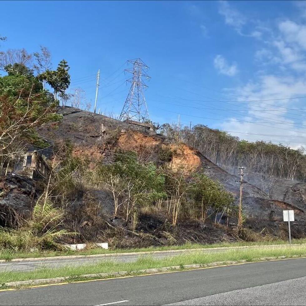 Imagen suministrada por LUMA Energy que muestra una zona del incendio de material vegetativo en el barrio El Maní de Mayagüez. Su portavoz sostuvo que el fuego no afectó instalaciones ni equipos del consorcio.