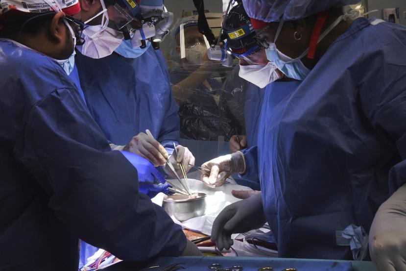 Miembros del equipo de cirugía trasplantan un corazón de cerdo al paciente David Bennett, el viernes 7 de enero de 2022, en Baltimore.