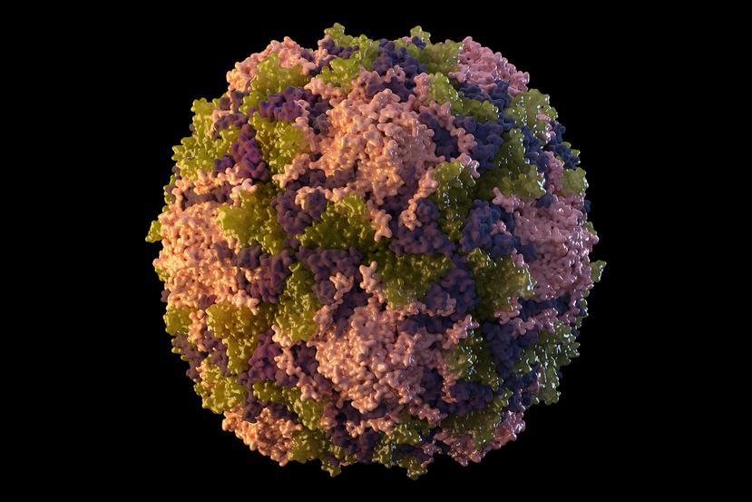Esta ilustración de 2014 muestra una partícula del virus de la poliomielitis.