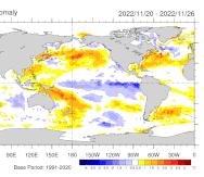 Mapa que muestra las anomalías en temperaturas en la superficie del océano Pacífico central y oriental, en la semana del 20 al 26 de noviembre de 2022. Los colores azules (temperaturas frías) son propias de La Niña.
