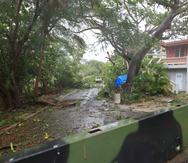 Varias vías de rodaje también se vieron afectadas tras el impacto del huracán Fiona en Guánica.