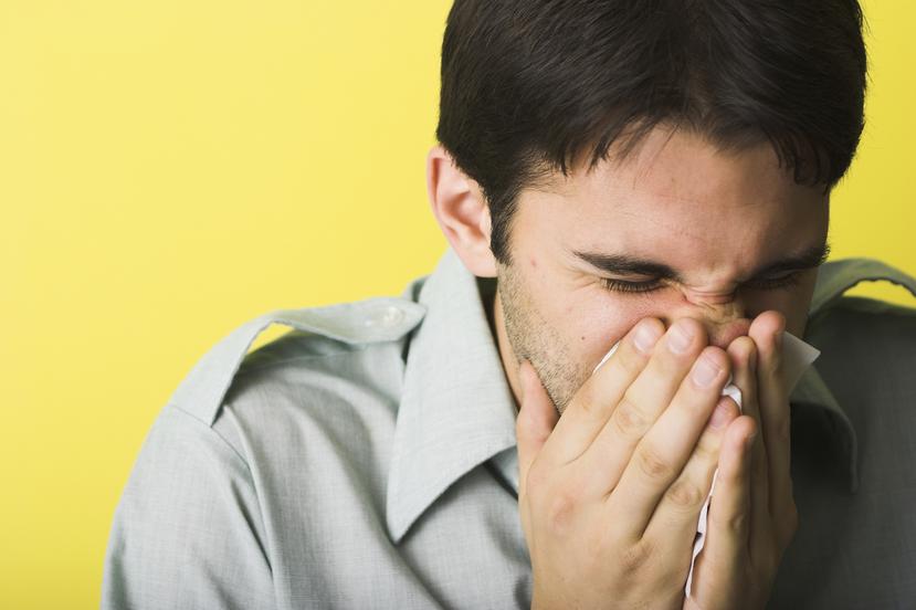 Los efectos directos de las esporas de hongo en el ser humano son asmas y alergias.
