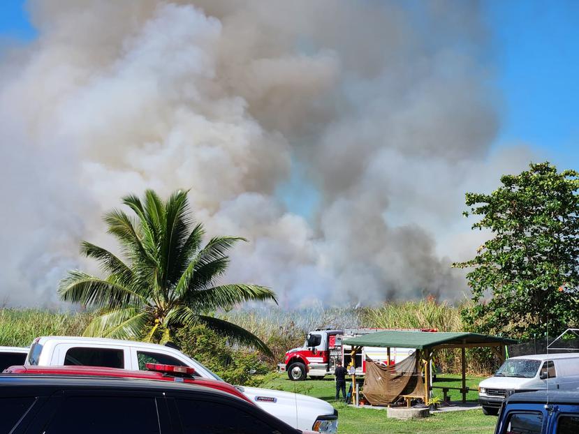 Incendio forestal en el barrio Tortuguero, en Vega Baja.