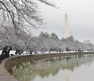 Una imagen de archivo de una nevada en Washington D. C.