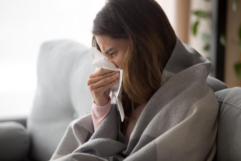 Los alérgenos del exterior podrían provocar un proceso inflamatorio pulmonar que aumentará la susceptibilidad de las personas a los virus respiratorios. (Shutterstock)
