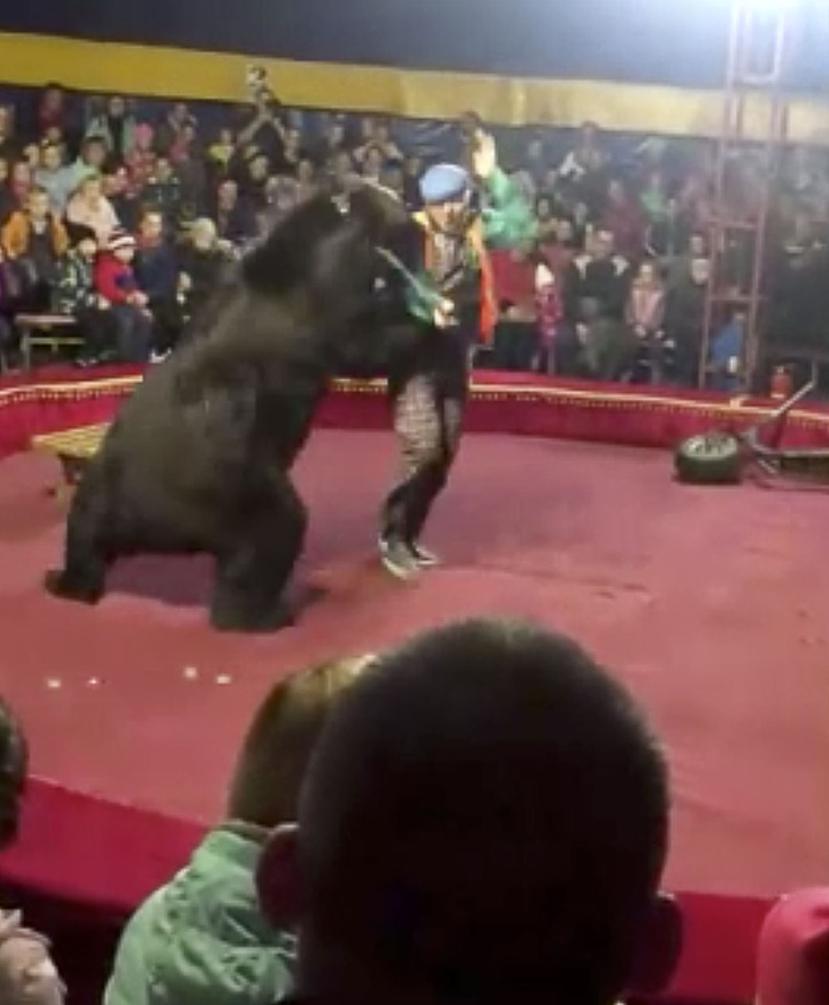 Aún existe autorización en localidades de Rusia para utilizar animales para propósitos de espectáculos como un circo. (AP)