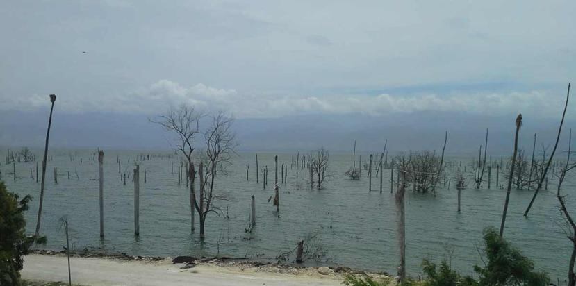 El nivel del lago Enriquillo en la República Dominicana se ha elevado entre 17 y 18 metros en la última década. (Suministrada)