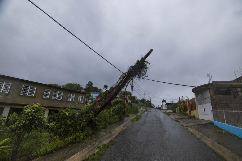 Un poste de luz que quedó a punto de caer en un barrio de Guánica.