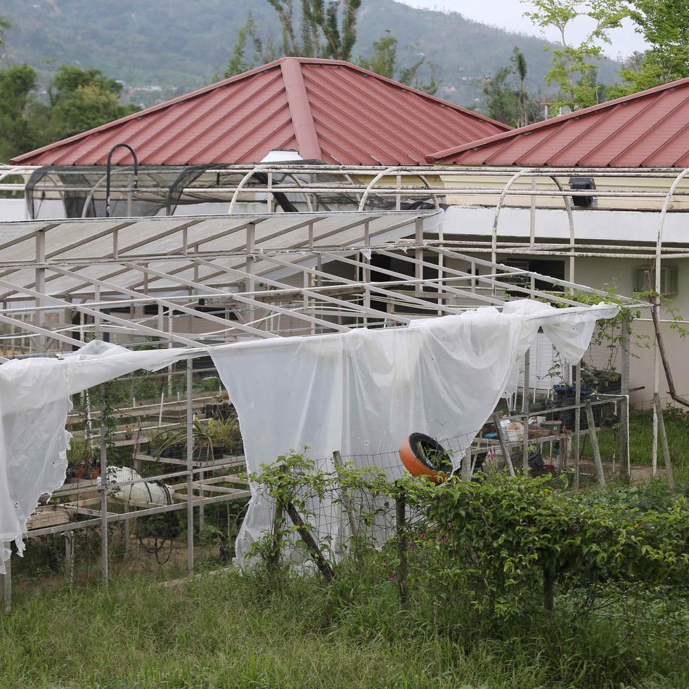 El recinto de Utuado de la UPR sufrió daños significativos tras el paso del huracán María.