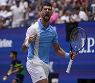 Novak Djokovic se apunta otra semifinal en su carrera.
