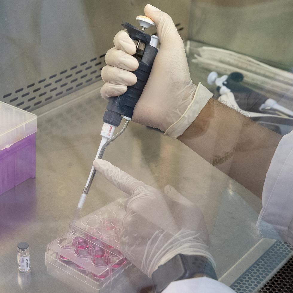 A lab technician extracts a portion of a COVID-19 vaccine candidate during testing at the Chula Vaccine Research Center, run by Chulalongkorn University in Bangkok, Thailand, Monday, May 25, 2020. Researchers in Thailand claim to have promising results with the vaccination on mice, and have begun testing on monkeys. (AP Photo/Sakchai Lalit)