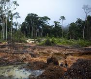 Académicos afirman que el Amazonas no puede quedar sujeto a acuerdos débiles, excesivamente dependientes de la situación política de los países de la zona.