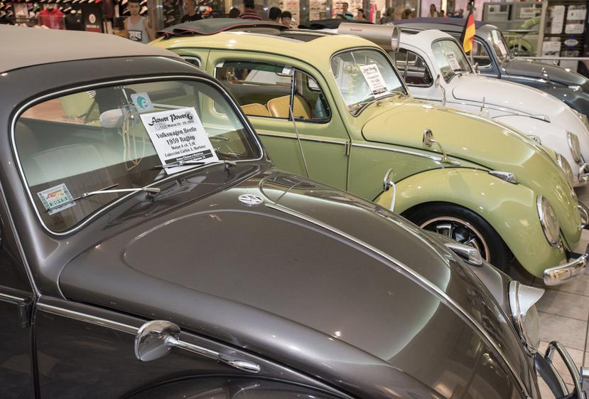 Con sobre 60 autos en exhibición, Flower Power presenta historia, innovación y adrenalina con los vehículos más icónicos de Volkswagen en diferentes modelos y generaciones además de que ofrece un variado programa de charlas en tarima.