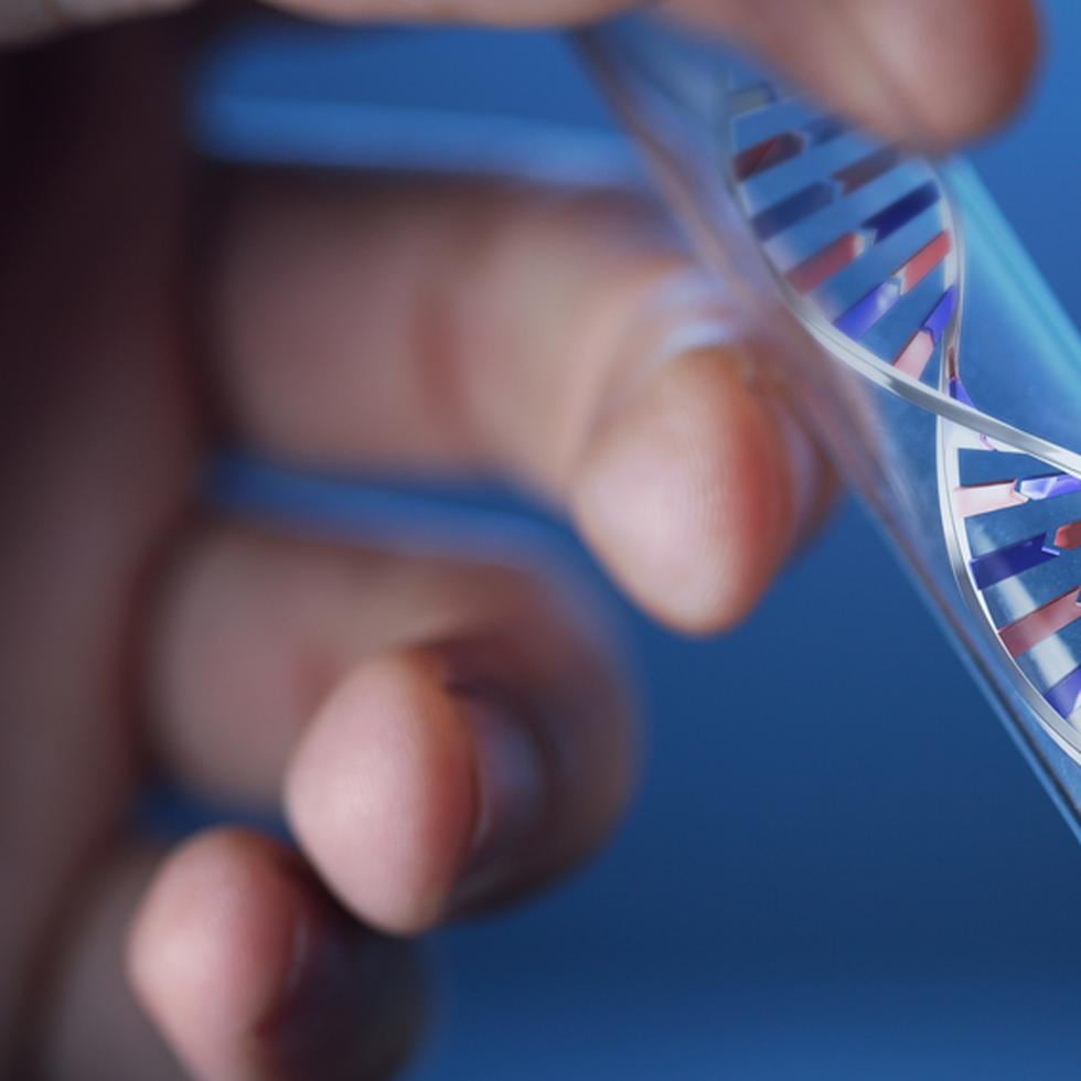 Las nuevas terapias apuntan a corregir las causas de la enfermedad con una sola dosis, en la cual se introduce el material genético correcto en las células del paciente. (Shutterstock)