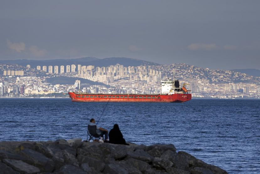 Una familia sentada en una roca frente a un buque de carga anclado en el Mar de Mármara cerca de Estambul, Turquía, el 13 de julio de 2022. (AP Foto/Khalil Hamra, Archivo)