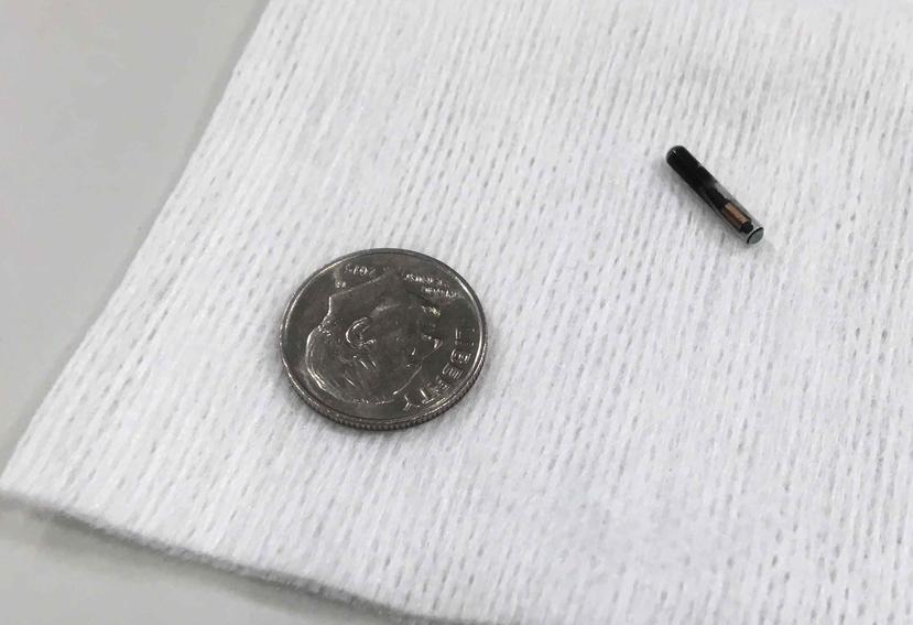 El microchip es más pequeño que una moneda de 10 centavos. (AP / Jeff Baenen)