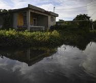 El sector Villa Santos, en Loíza, donde hay una situación ambiental delicada en el caño Negritos.