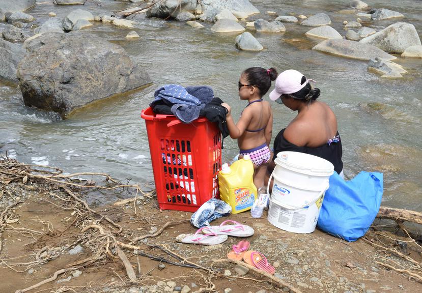 Currently, in Canóvanas there are two shelters open, with about 500 people being housed. In one of these refuges, infections with human scabies were identified among members of the same family, who were isolated and received medical treatment.
