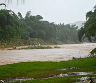 Crecida de agua en el río Bayamón, cerca de la PR-174.